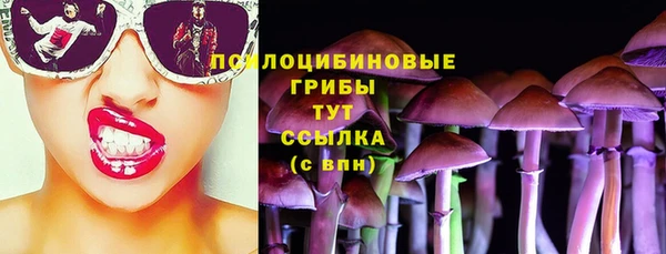 PSILOCYBIN Белоозёрский