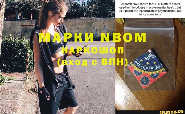 бошки Белокуриха