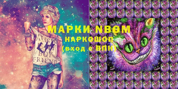 бошки Белокуриха