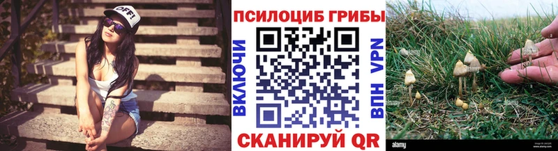 Галлюциногенные грибы ЛСД  купить  сайты  Новокузнецк 